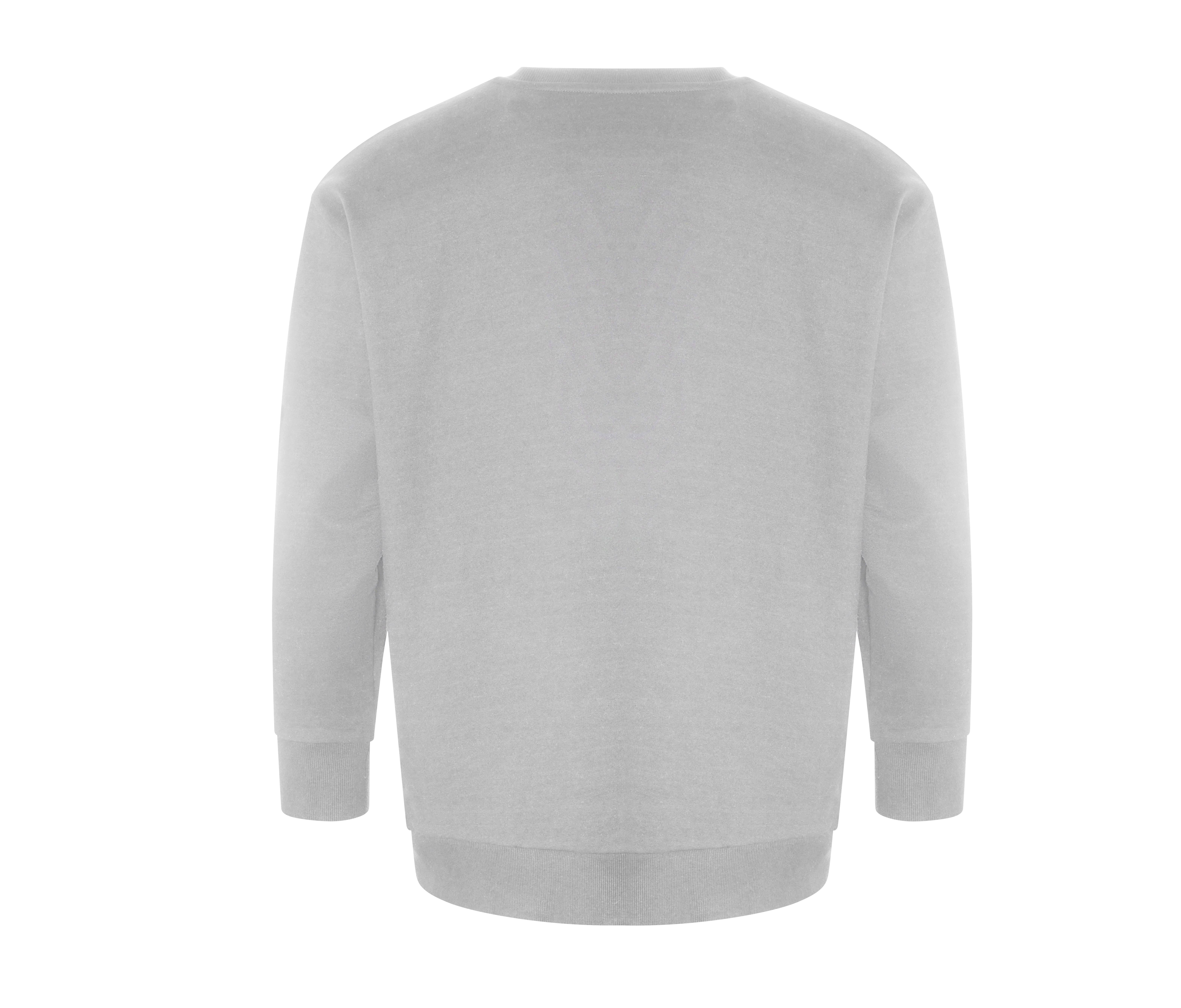 CRATER RECYCLED SWEATSHIRT