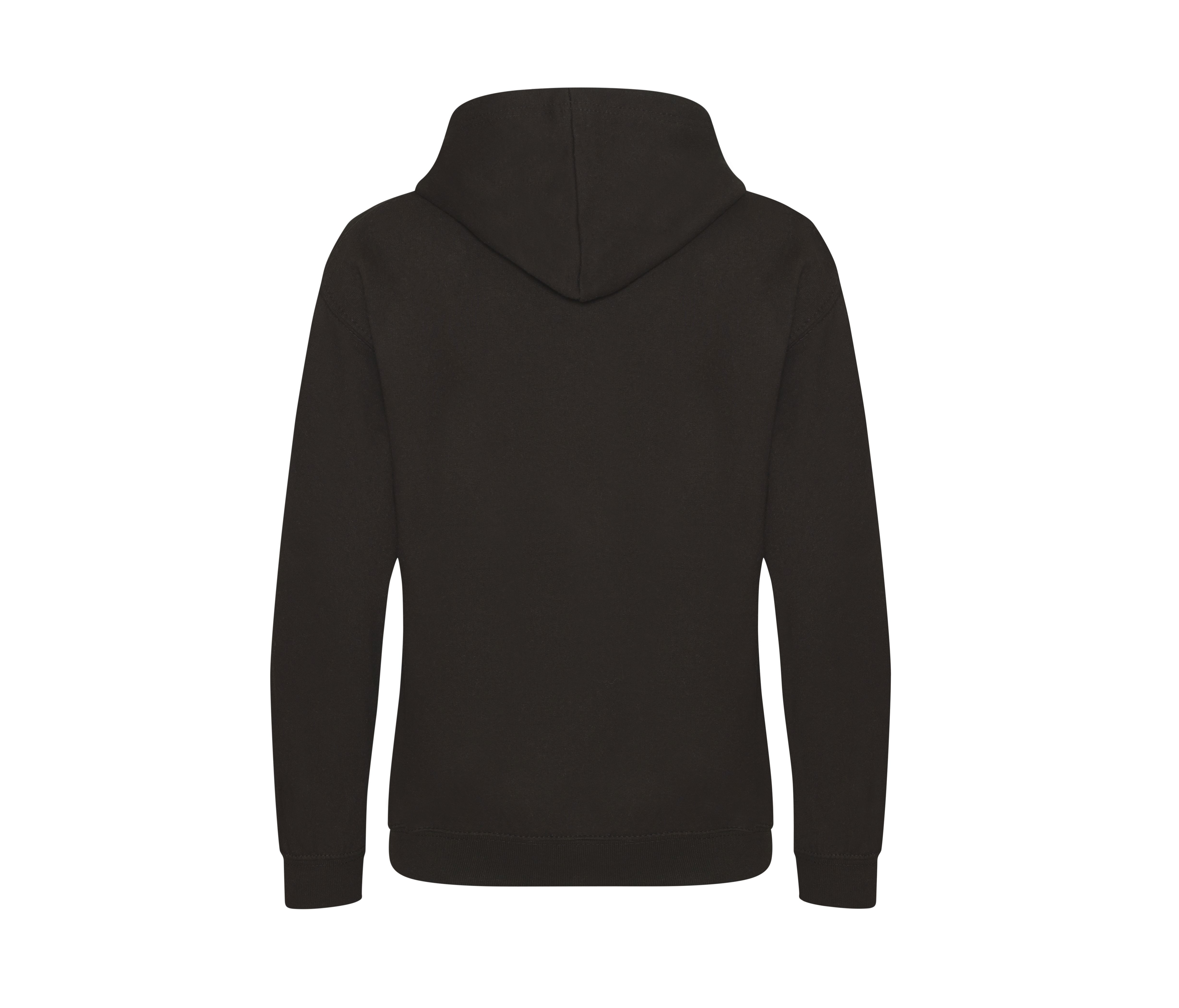 KIDS VARSITY HOODIE