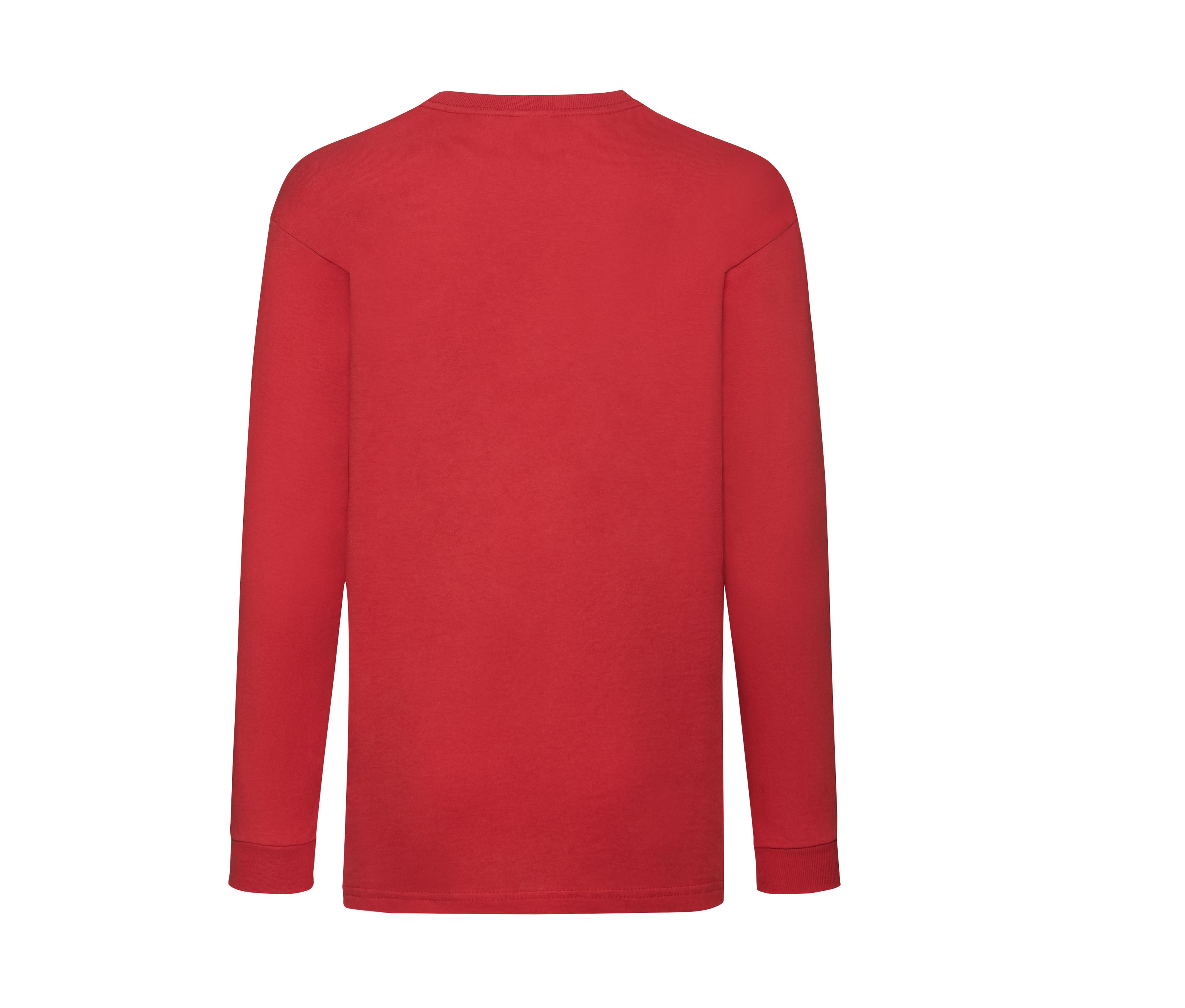 KIDS VALUEWEIGHT LONG SLEEVE T