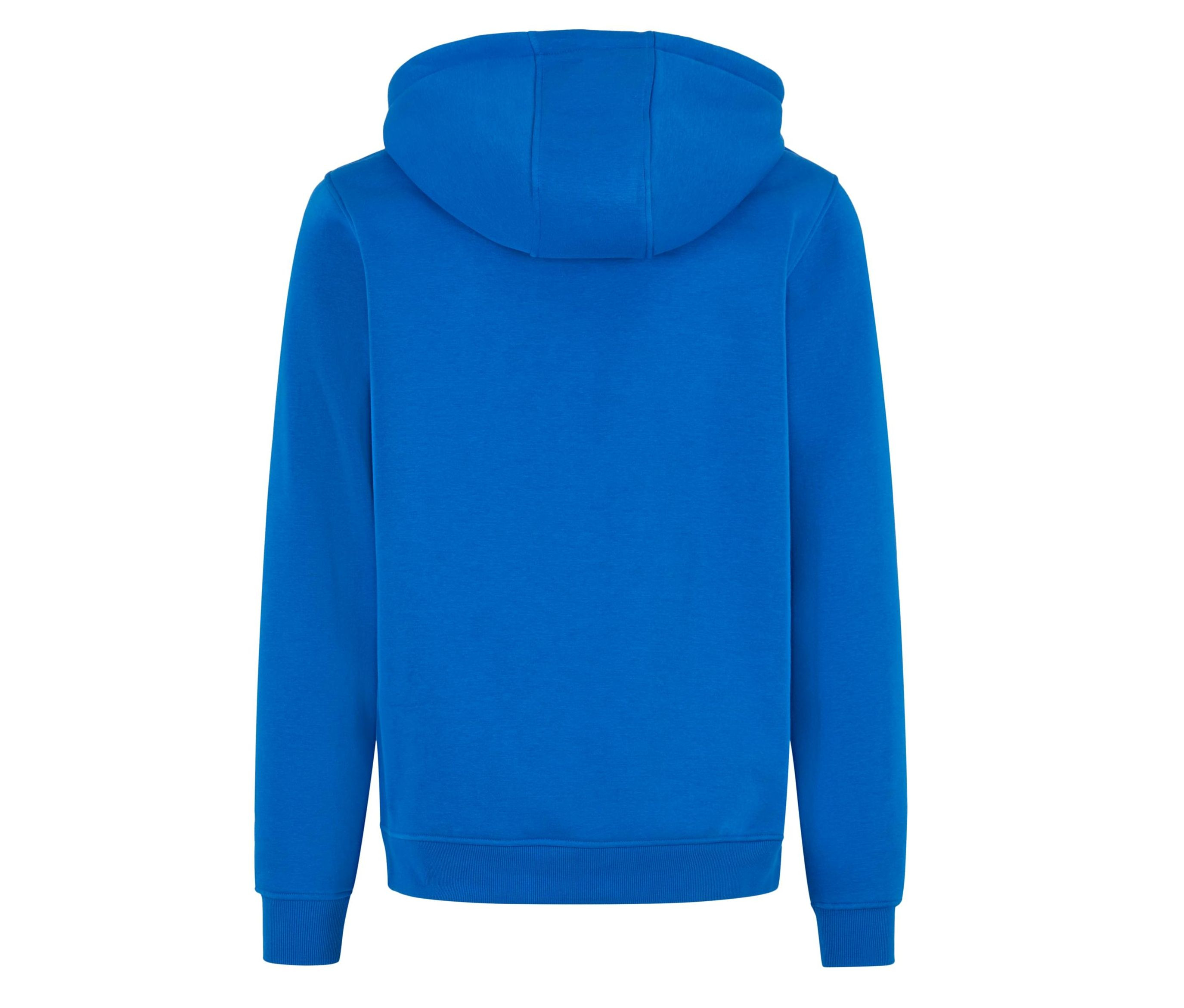BASIC HOODY