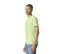 SOFTSTYLE ADULT T-SHIRT
